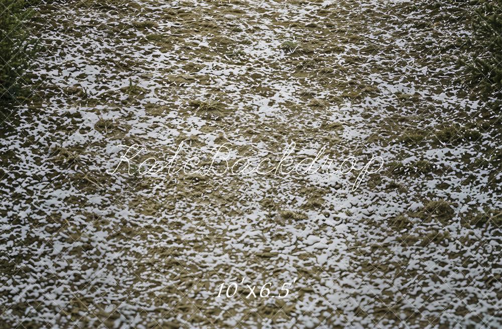 Kate Snowy Ground Dry Grass Floor Printed Backdrop Designed by Emetselch