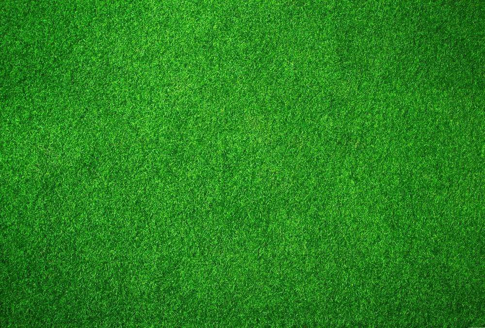 Katebackdrop¡êoKate Green Grassland rubber floor mat