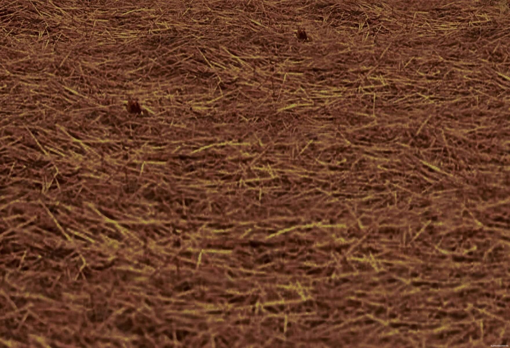 Kate Brown Dry Grass Rubber Floor Mat