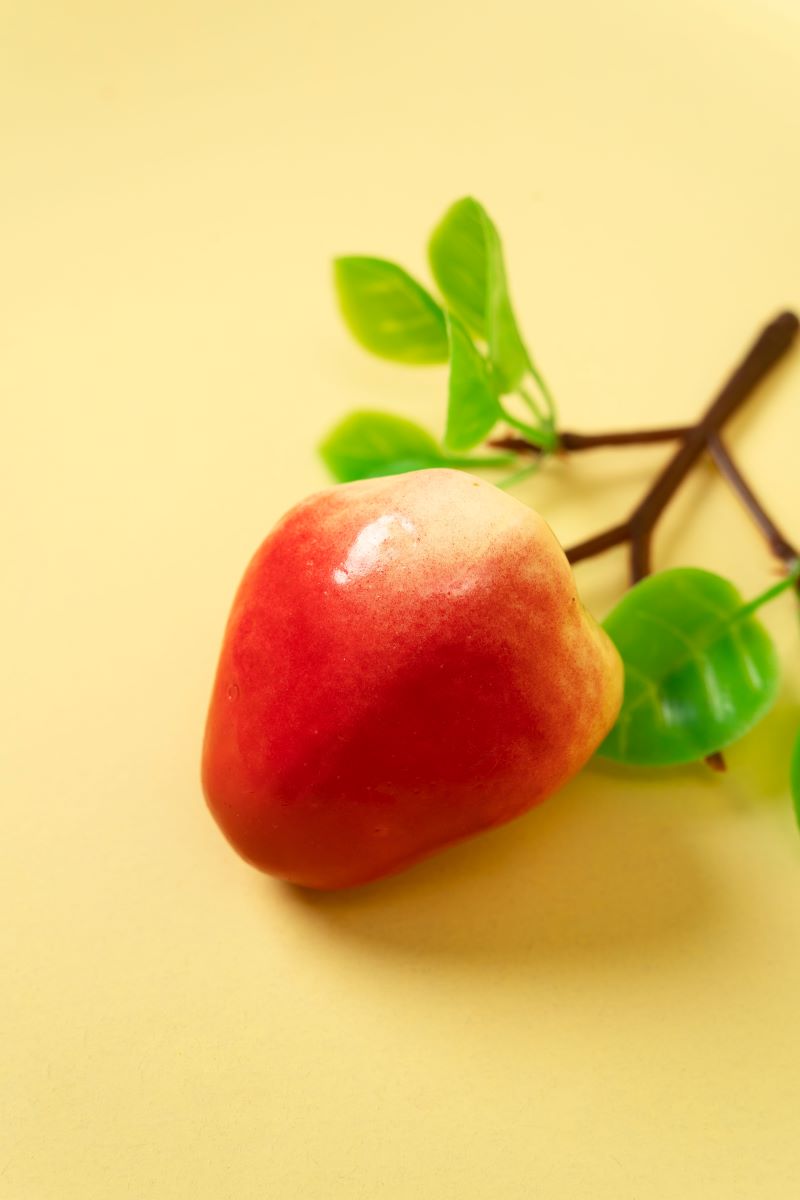 Kate Cream Yellow Seamless Paper Backdrop for Photography (US 2-5 Day Delivery)