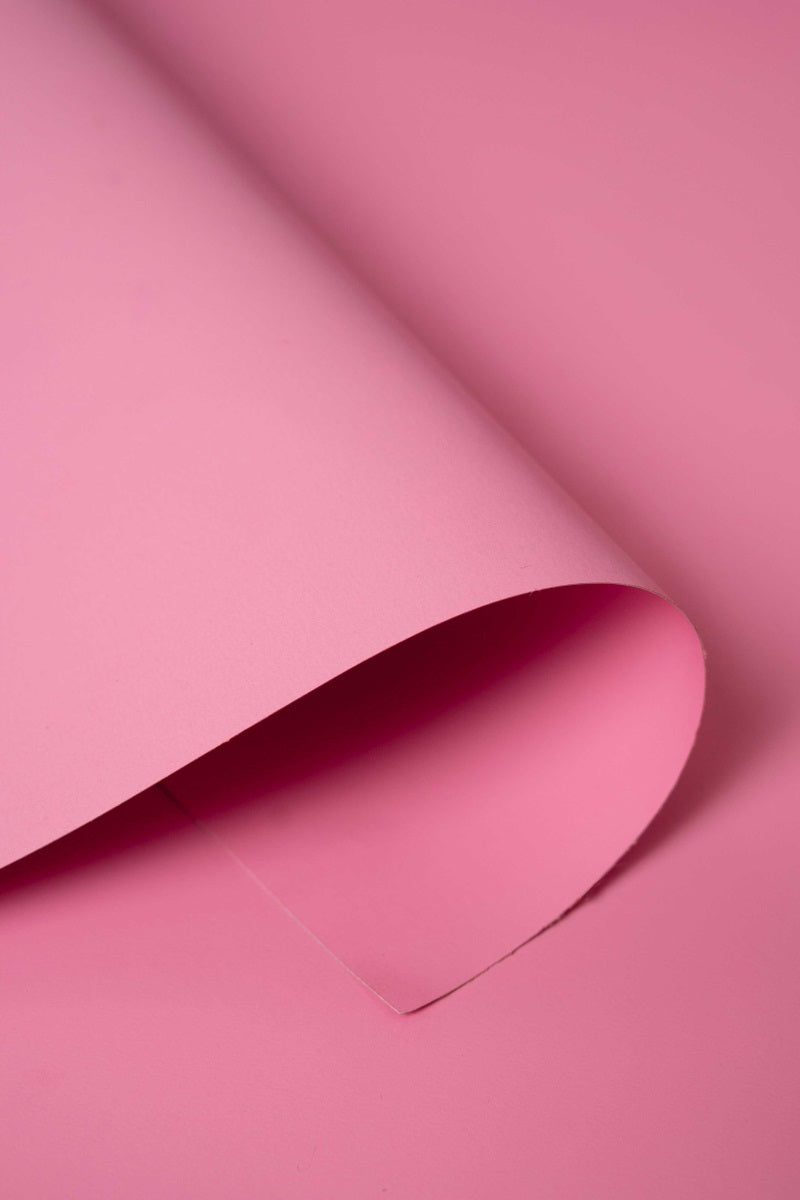 RTS Kate Carnation Pink Seamless Paper Backdrop for Photography (US 2-5 Day Delivery)