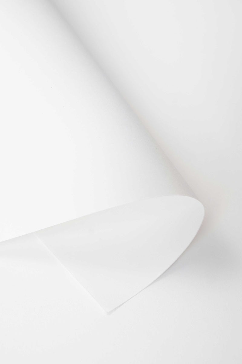 Kate White Seamless Paper Backdrop