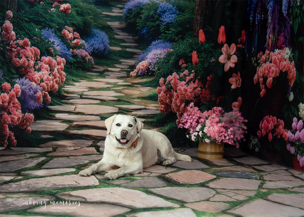 Kate Pet Spring Flowers Forest Path Room Set