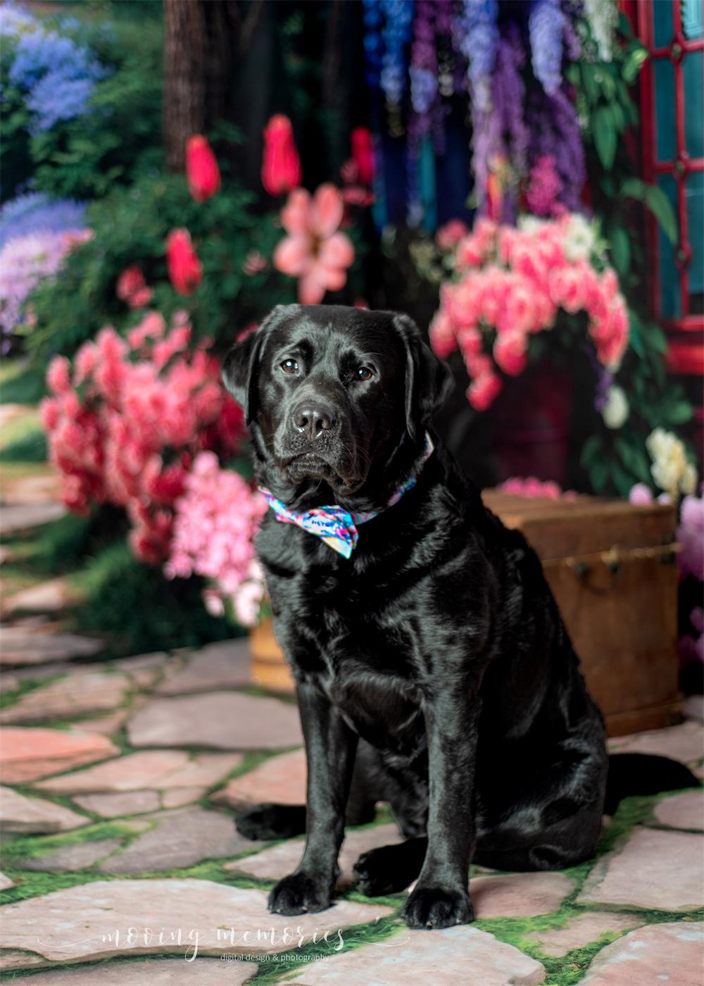 Kate Spring Flowers Forest Path Room Set