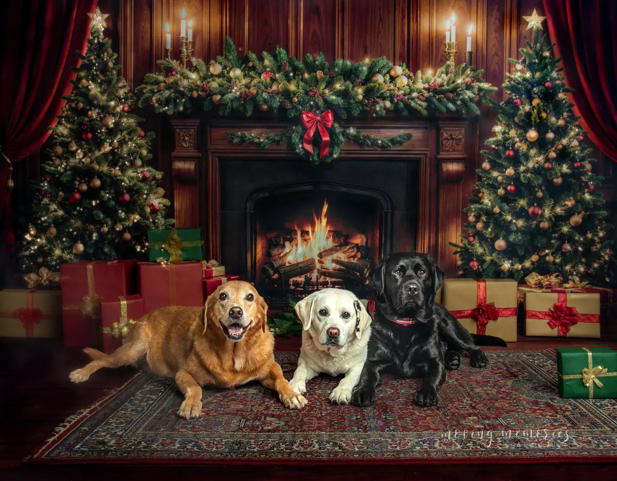 Kate Christmas Fireplace Tree Brown Retro Wall Backdrop+Brown Wood Texture Floor Backdrop