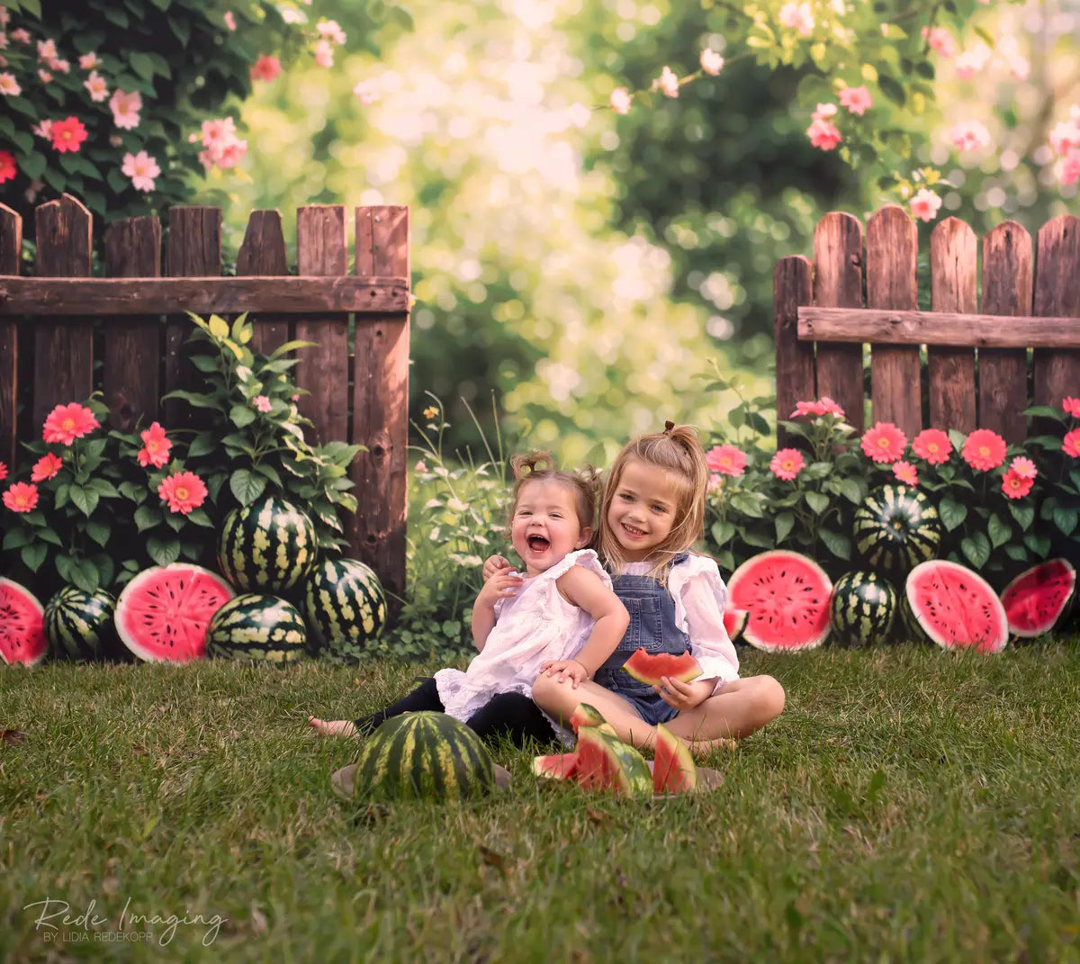 Zomer Bokeh Groene Plant Kleurrijke Bloem Watermeloen Bruin Hek Foto Achtergrond Ontworpen door Emetselch