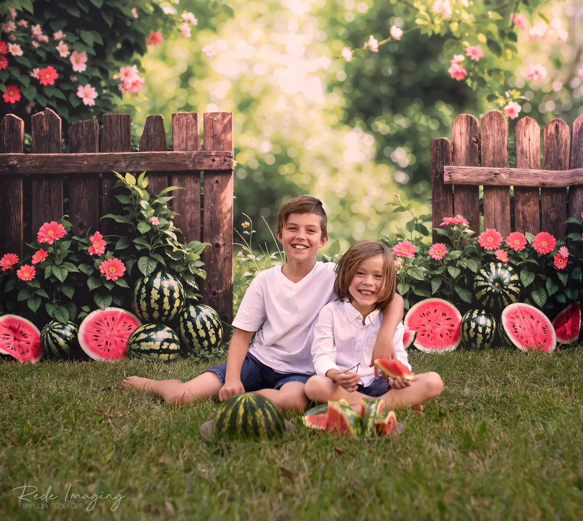 Zomer Bokeh Groene Plant Kleurrijke Bloem Watermeloen Bruin Hek Foto Achtergrond Ontworpen door Emetselch