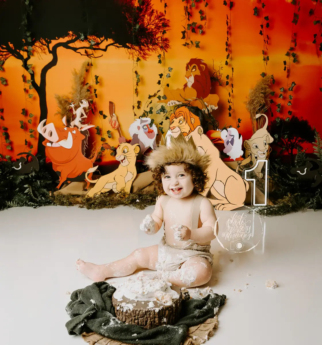 Sfondo Naturale Tramonto Albero per Fotografia