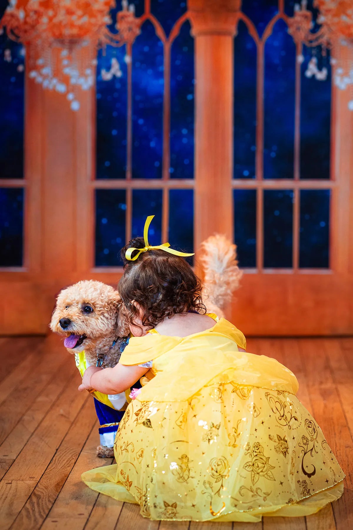 Kate Window Chandelier Backdrop Designed By Jerry_Sina - Kate Backdrop