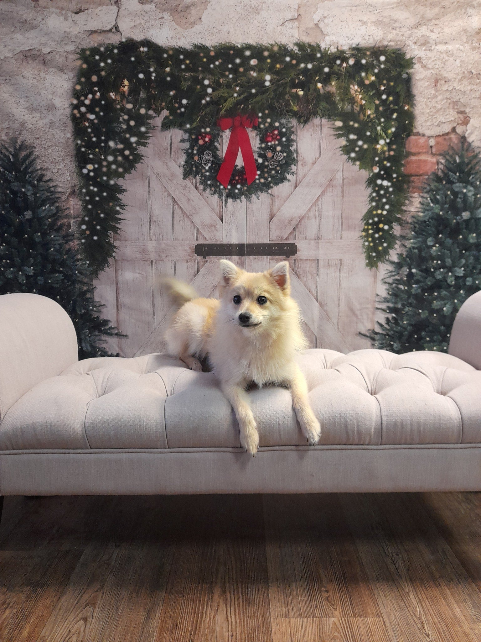 Kerst Fleece Achtergrond Bakstenen Muur Deur & Kerstbomen Ontworpen Door JS Photography