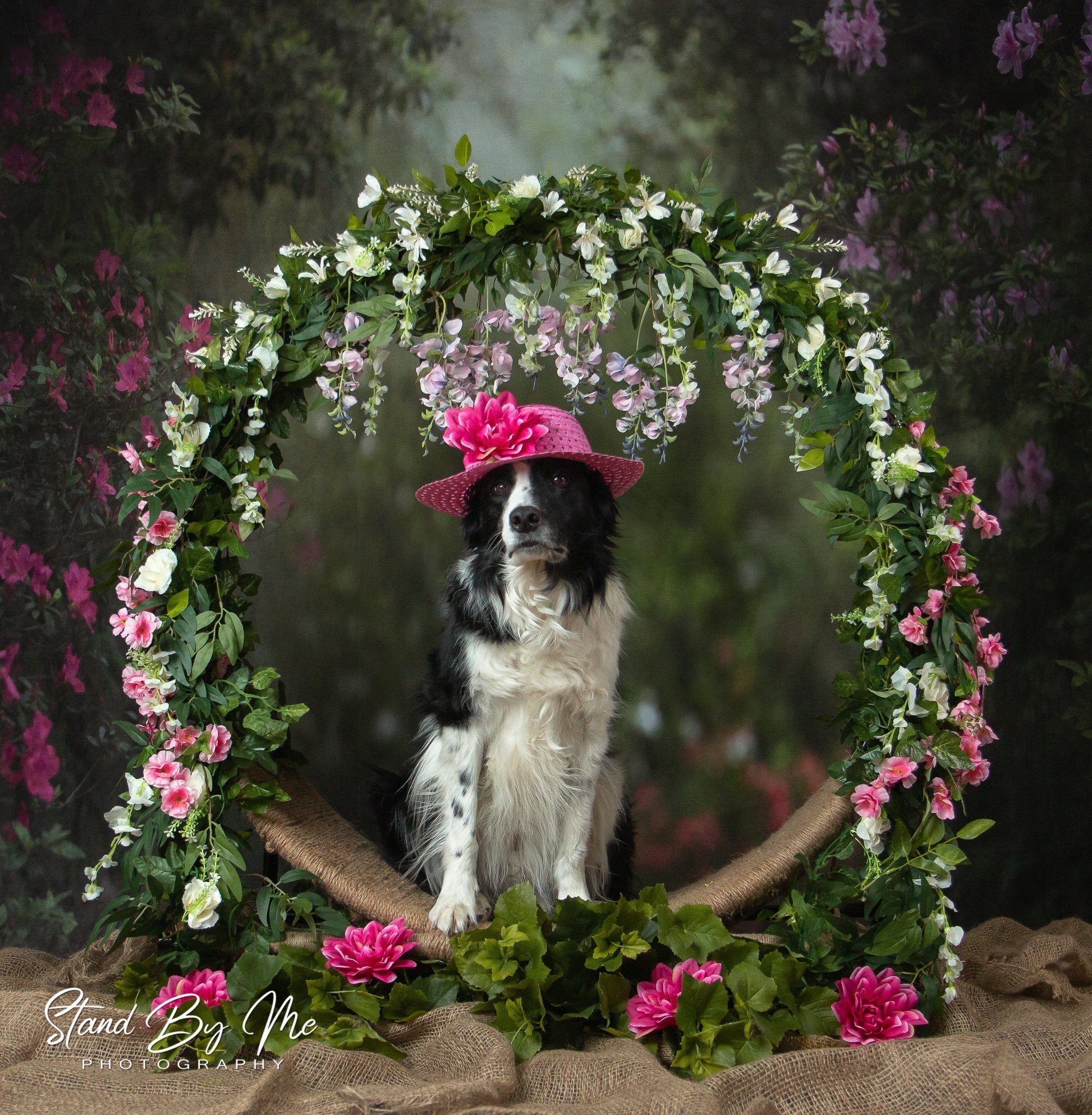 Roze Bloemen Tuin Lente Achtergrond voor Fotografie Ontworpen door Pine Park Collection