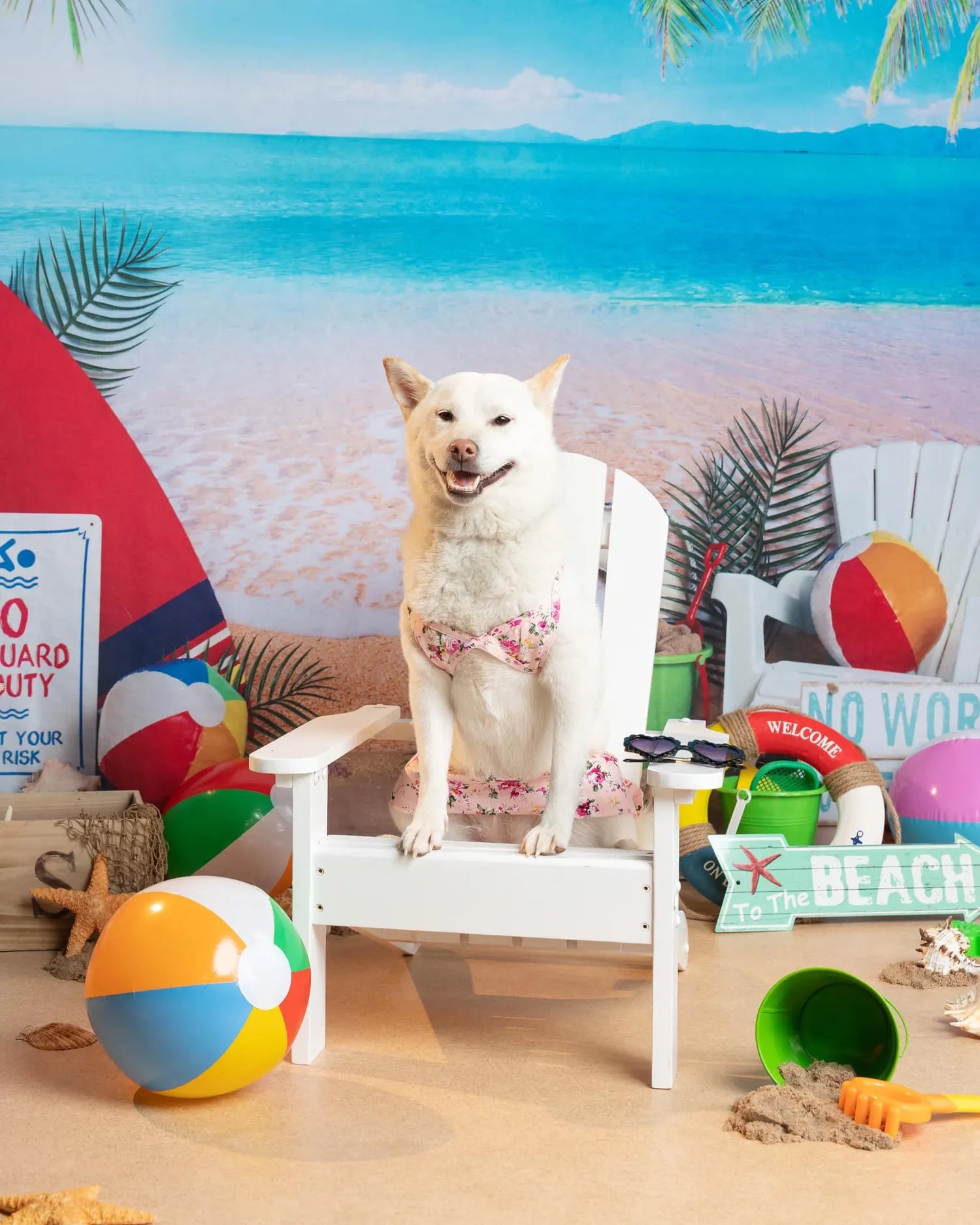 Kate Beach Day Sea Summer Backdrop for Photography Designed by Megan Leigh Photography - Kate Backdrop