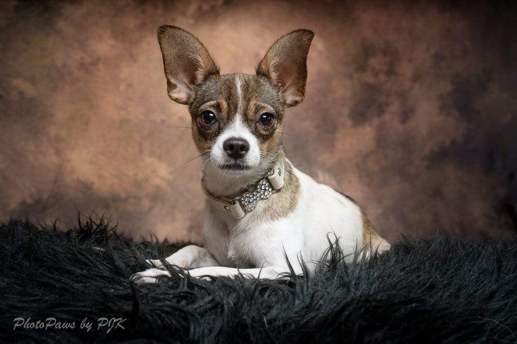 Kate Like Oil Painting Background Abstract Texture Backdrops For Photography - Katebackdrop