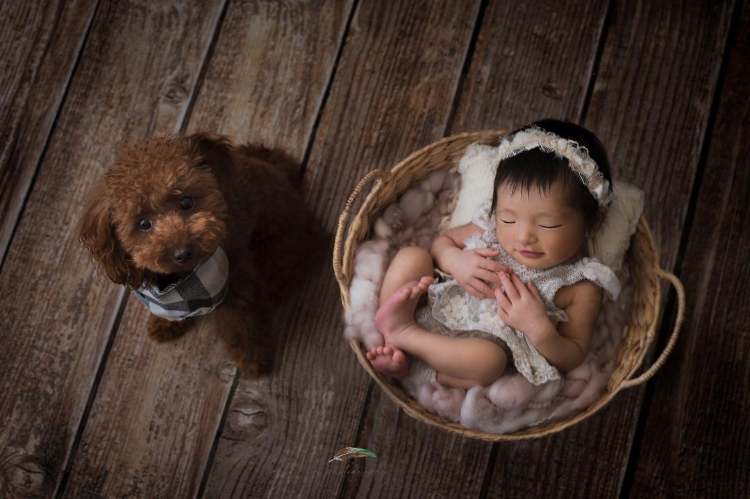 Kate Brown Vintage Wood Computer Printed Rubber Floor Mat - Katebackdrop