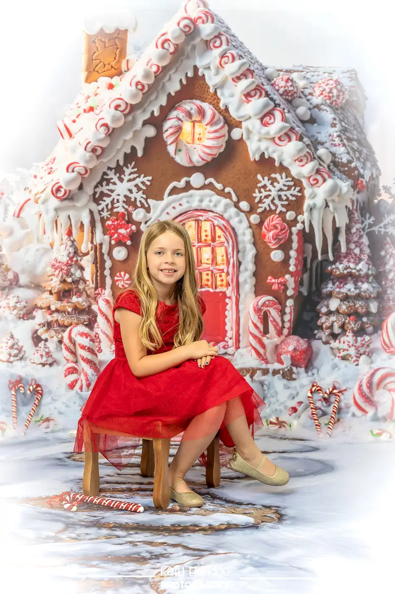 Kate Christmas Tree Gingerbread House Candy Cane Backdrop+Snowy Stepping Stone Path Floor Backdrop