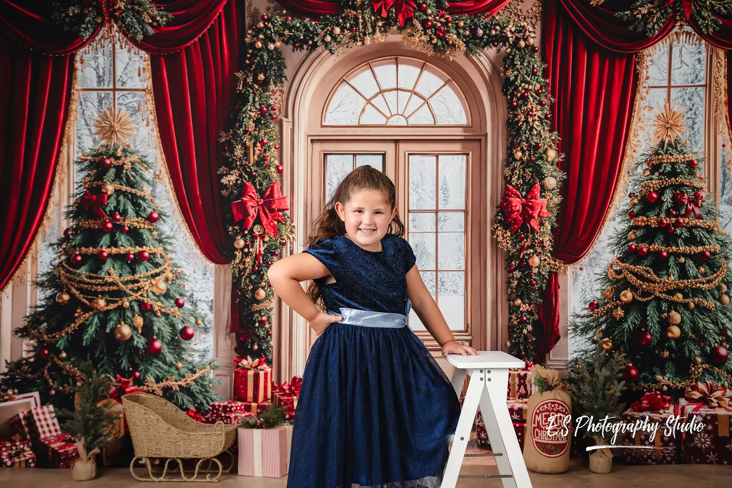 Kate Christmas Tree Red Curtain Arched Door Printed Backdrop Designed by Emetselch