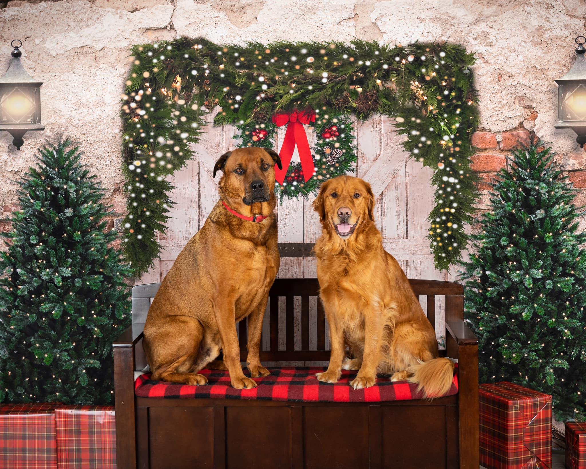 Kerst Fleece Achtergrond Bakstenen Muur Deur & Kerstbomen Ontworpen Door JS Photography