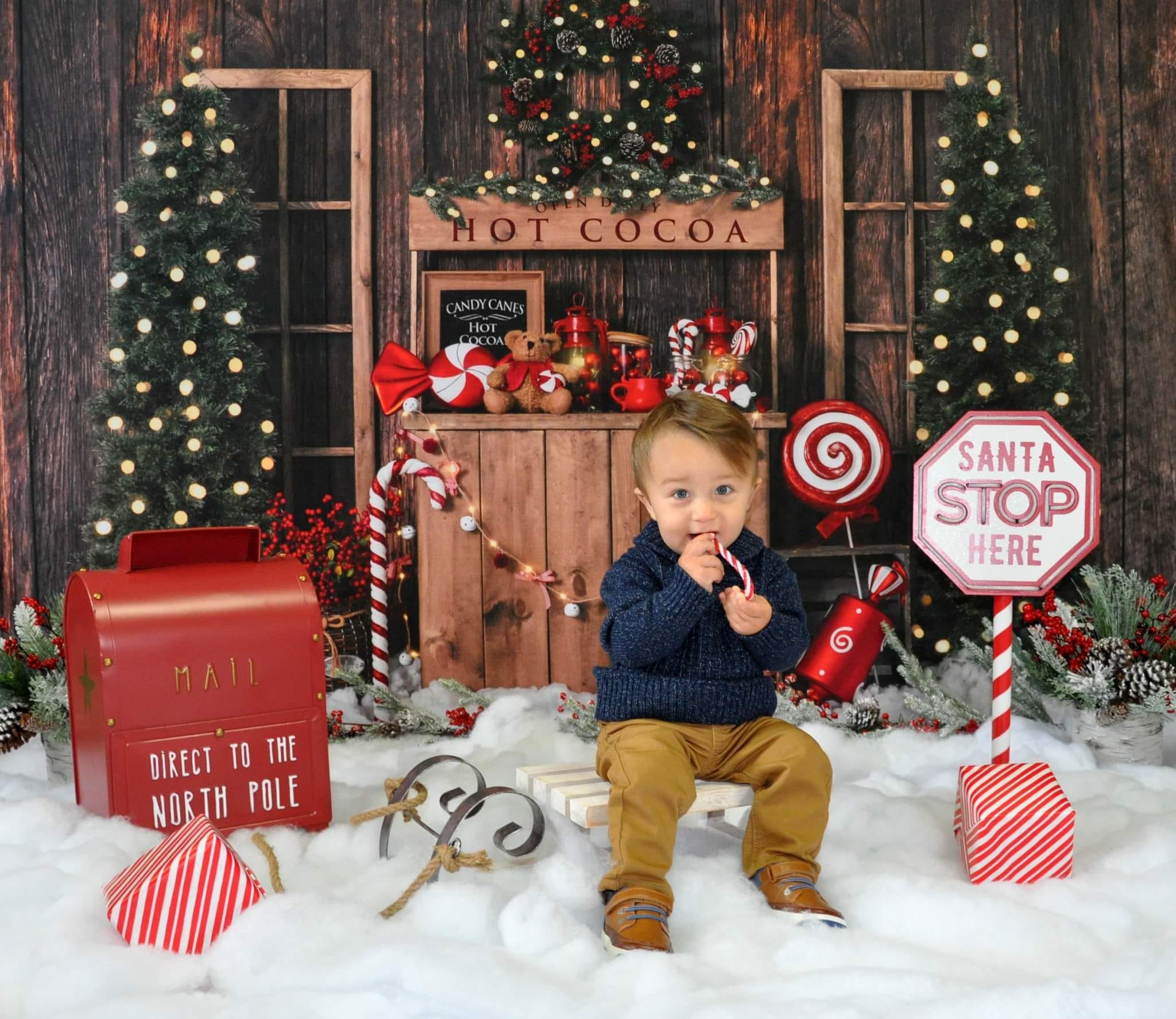 Kate Christmas Tree Fleece Backdrop Winter Hot Cocoa Designed by Emetselch