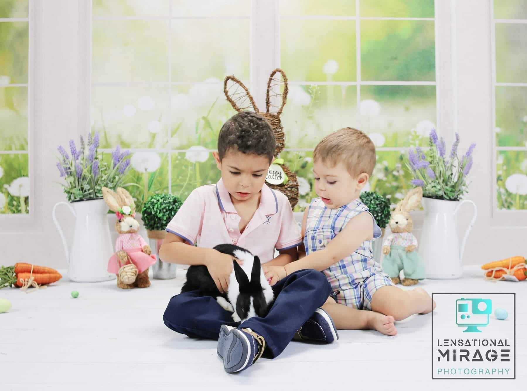 Sfondo in pile per finestra primavera estate giardino disegnato da Emetselch