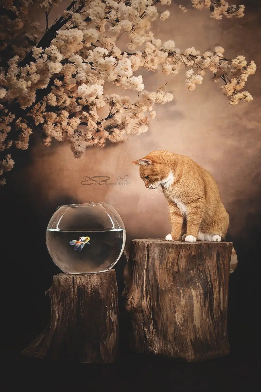 Kate Abstract Background With Florals Backdrops for Photography