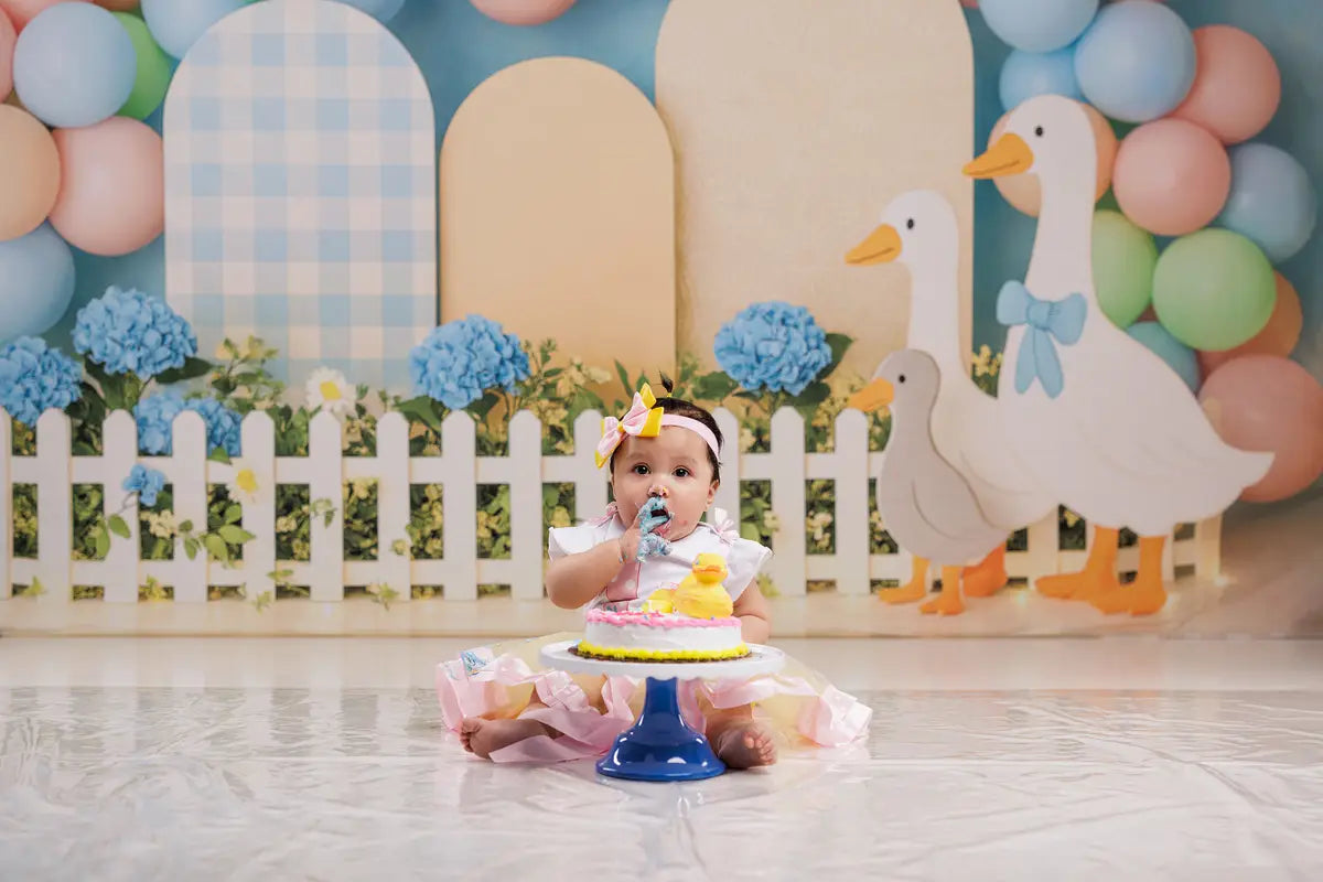 Cake Smash Tuin Ganzen Pastel Ballonnen Foto Achtergrond Designed by Patty Roberts