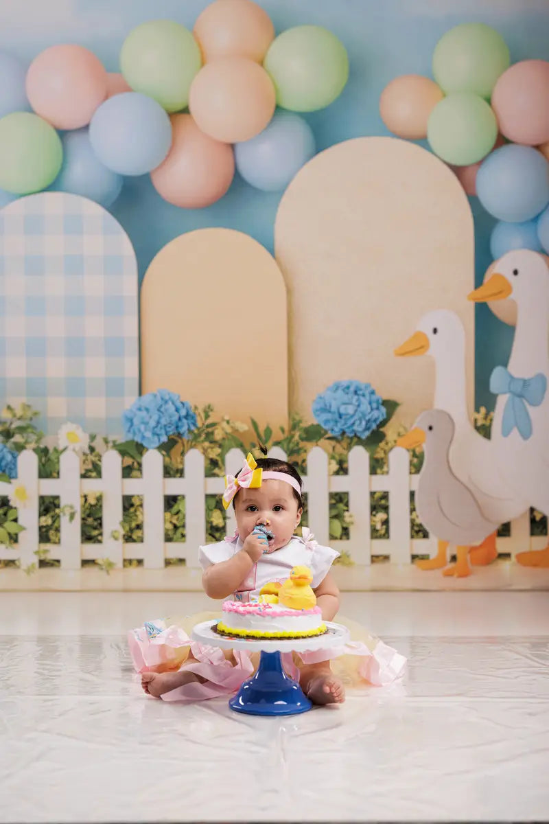 Cake Smash Tuin Ganzen Pastel Ballonnen Foto Achtergrond Designed by Patty Roberts