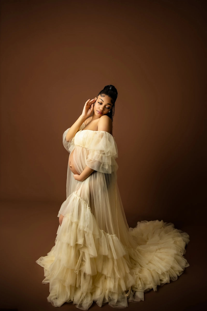 Kate Cake Mesh Mint Green Custom Maternity Photoshoot Gowns