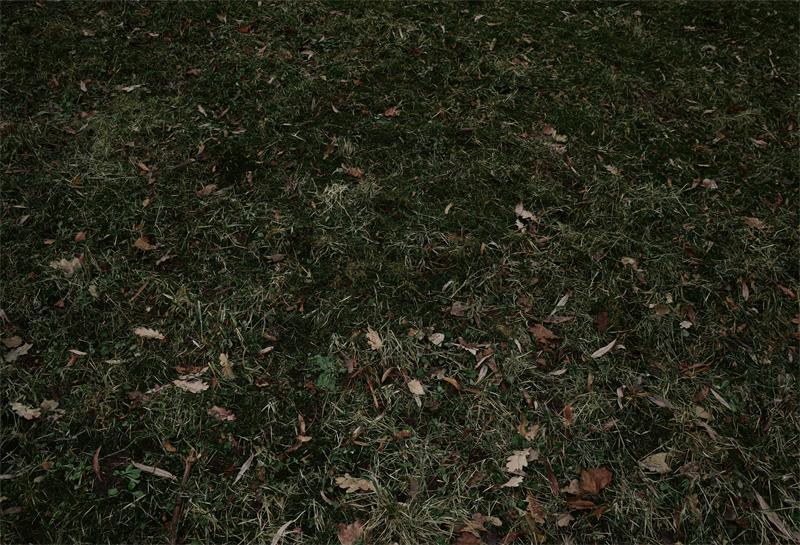 SALE RTS Kate Grassland Rubber Floor Mat (US ONLY)