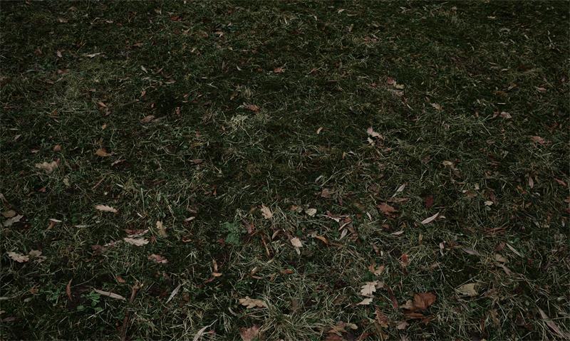 SALE RTS Kate Grassland Rubber Floor Mat (US ONLY)