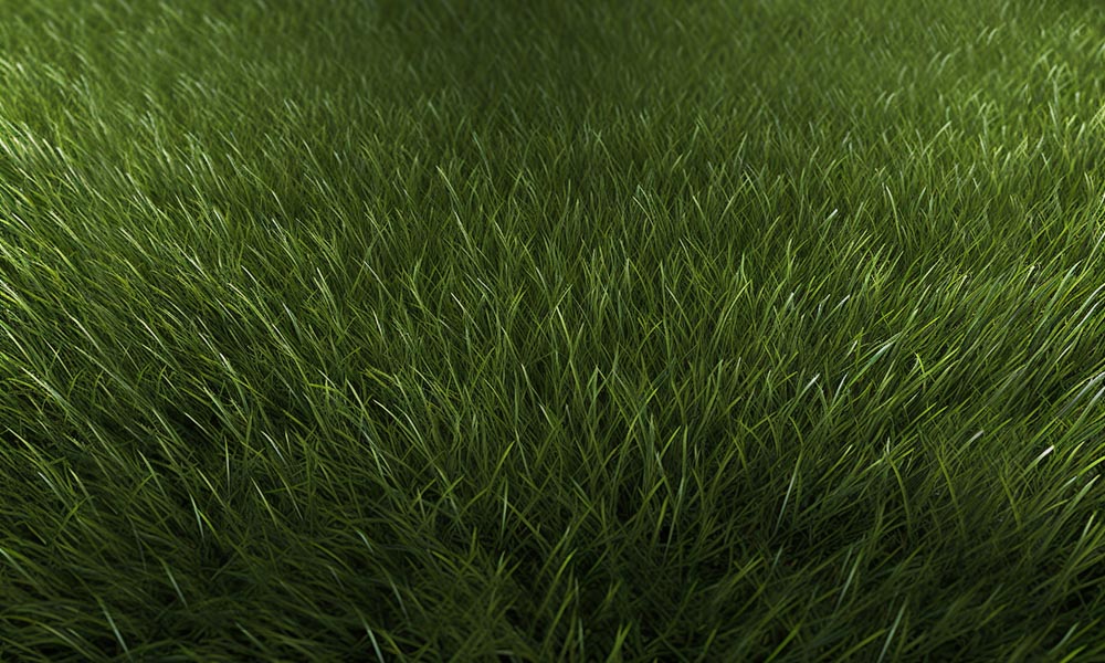 Kate Summer Grass Rubber Floor Mat