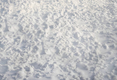 Witte Sneeuw Rubber Vloermat