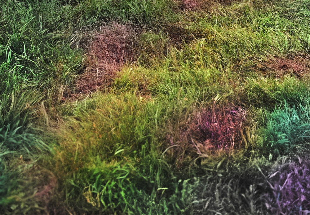 Kate Outdoor Rainbow Grass Floor Backdrop Designed by Mandy Ringe Photography
