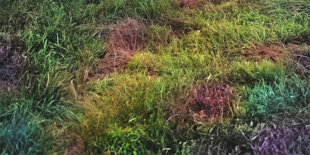 Kate Outdoor Rainbow Grass Floor Backdrop Designed by Mandy Ringe Photography