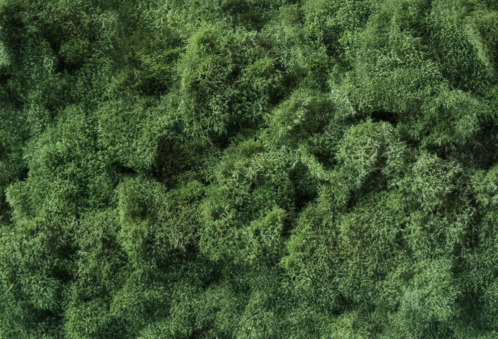 Kate Forest Green Grass Rubber Floor Mat Designed by Mini MakeBelieve