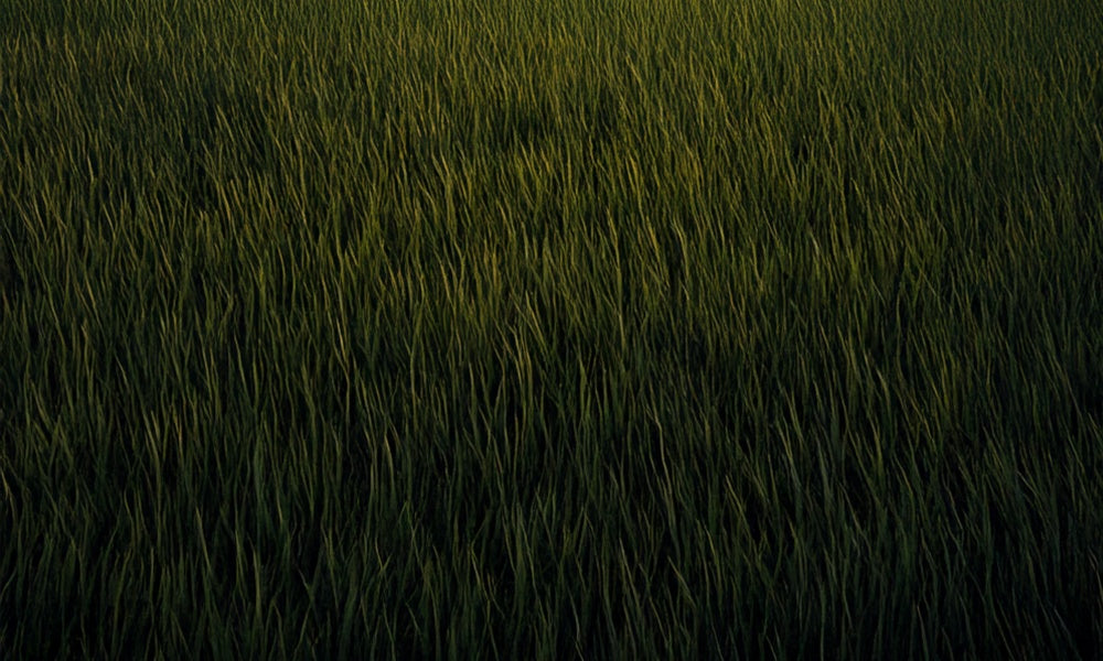 Kate Dark Green Grass Rubber Floor Mat Designed by Mini MakeBelieve