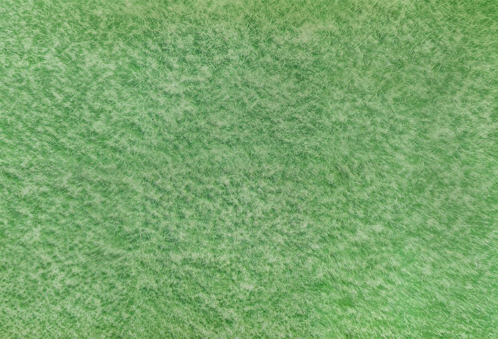 Kate Spring Light Green Grass Rubber Floor Mat