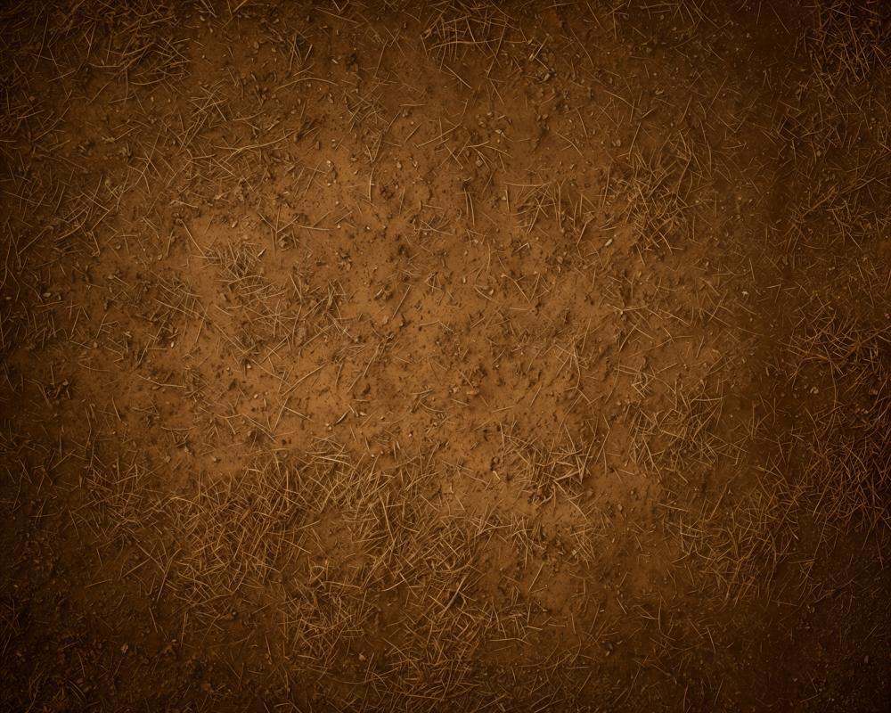 Kate Abstract Brown Dirt Ground Texture Floor Backdrop Designed by Emetselch