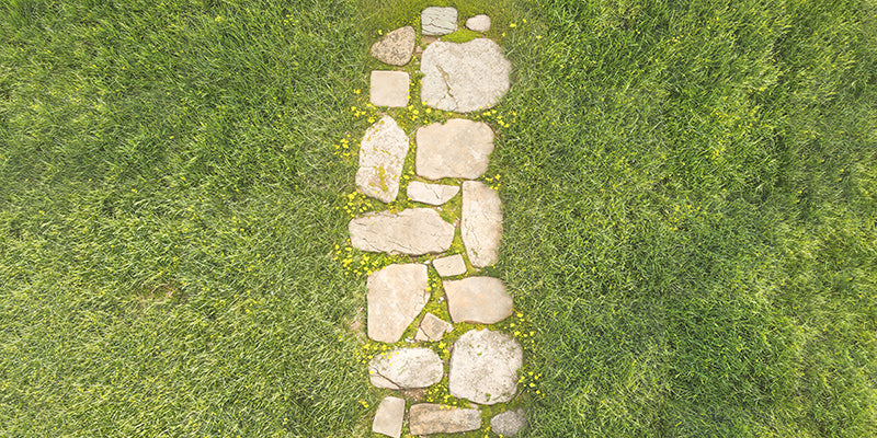 Kate Spring Stone Path In Green Grass Floor Backdrop Designed by Kate Image