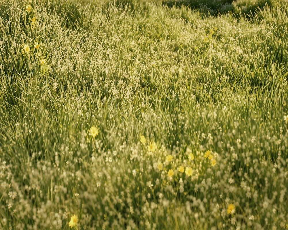 Kate Green Grass Meadow Printed Backdrop Designed by Emetselch