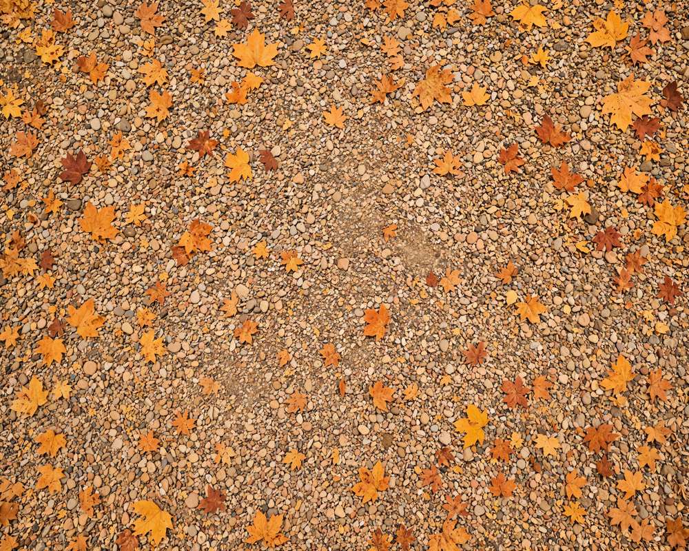 Kate Fall Maple Leaves Ground Rubber Floor Mat