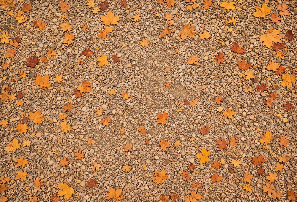 Kate Fall Maple Leaves Ground Rubber Floor Mat