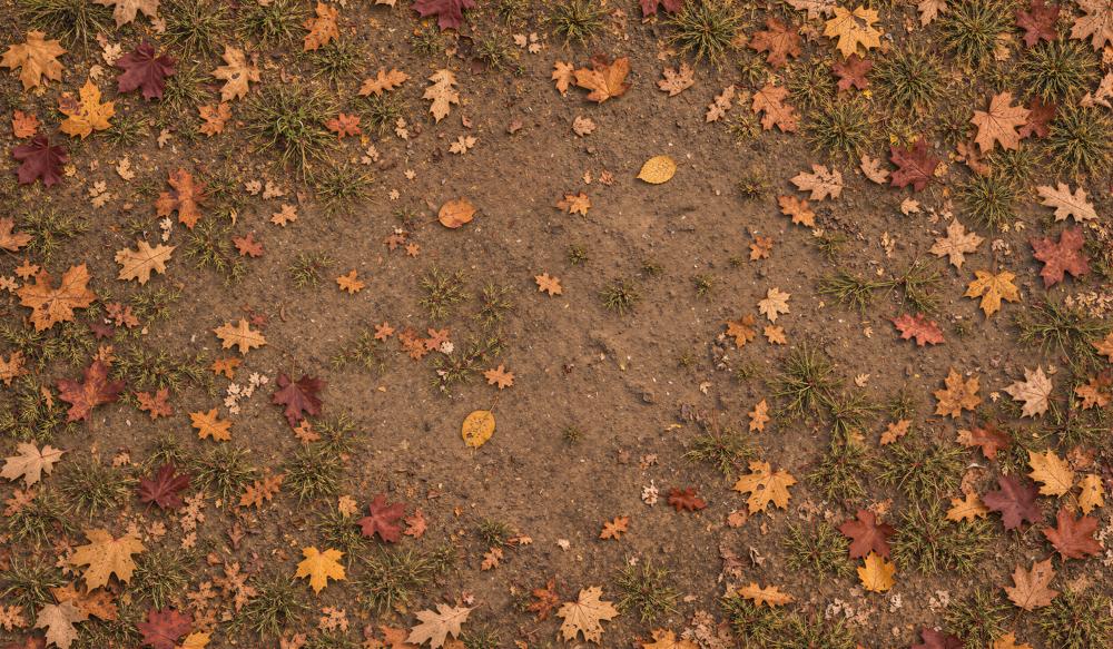 Kate Fall Maple Leaves Grass Brown Dirt Ground Rubber Floor Mat