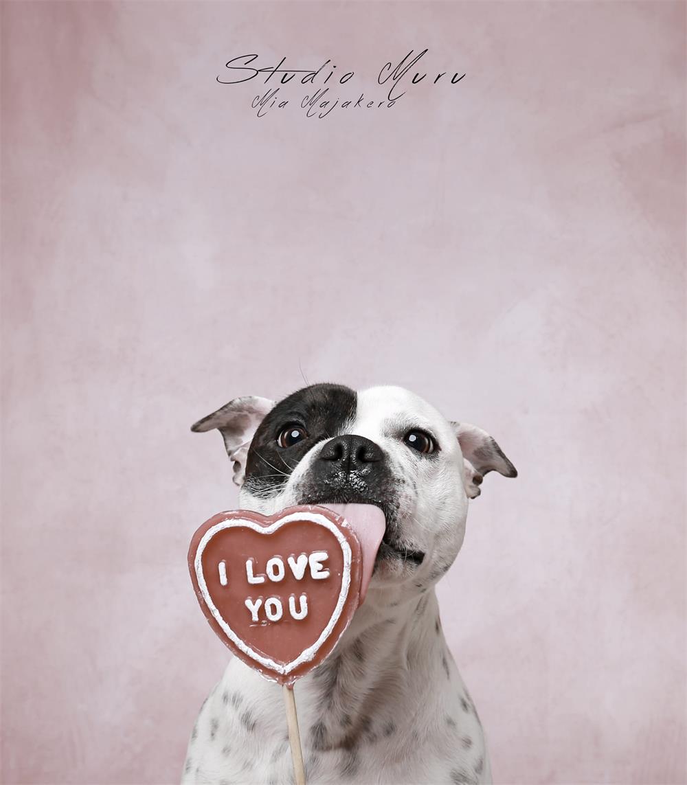 Kate Abstract texture beige a little green color Maternity/family photo Backdrop - Kate Backdrop