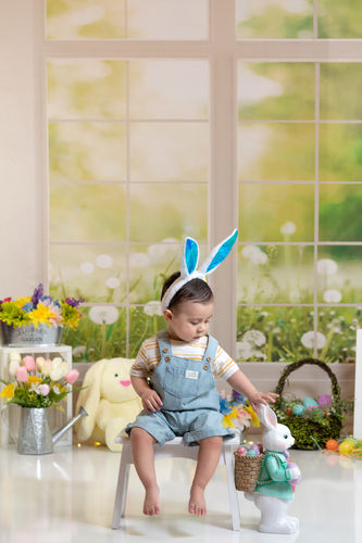 Sfondo in pile per finestra primavera estate giardino disegnato da Emetselch