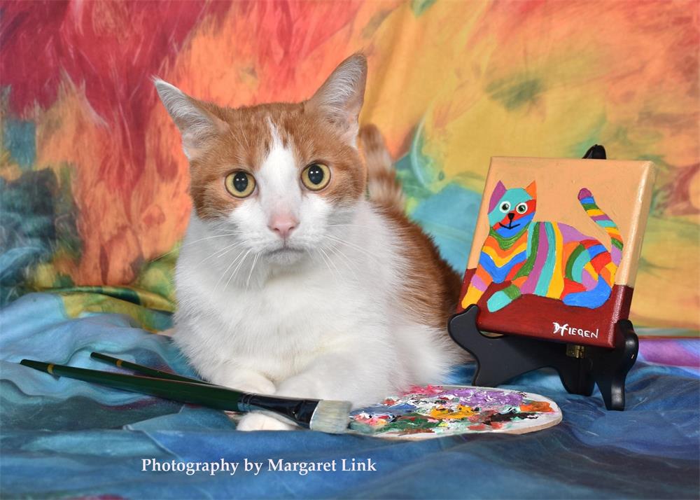 Abstract Rainbow Paint Backdrop Ontworpen door Mandy Ringe Fotografie