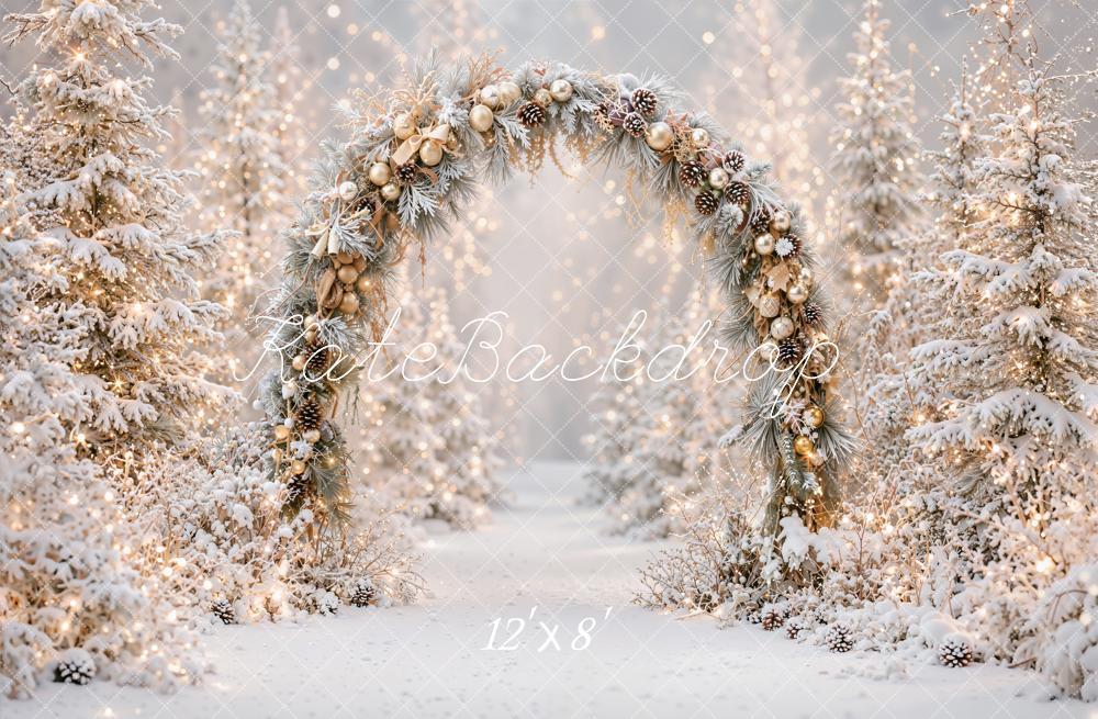 TEST Kate Christmas Flower Arch Snowy Trees Lights Printed Backdrop Designed by Emetselch