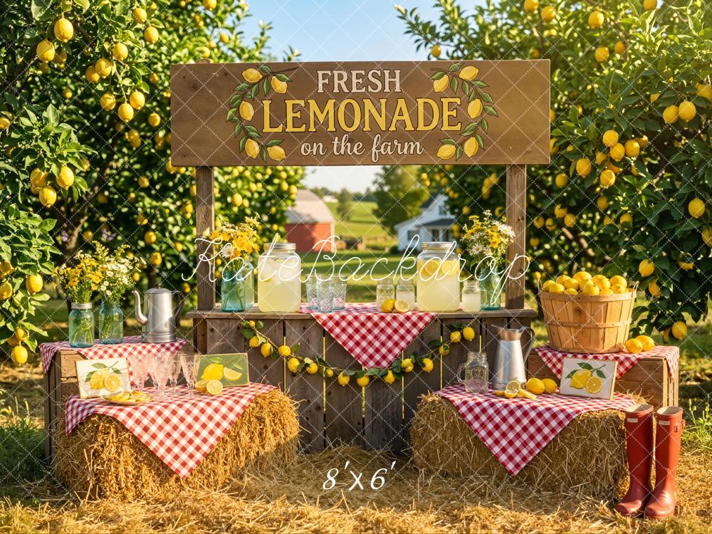 Kate Summer Lemonade Stand Lemon Orchard Farm Hay Bales Backdrop Designed by Emetselch