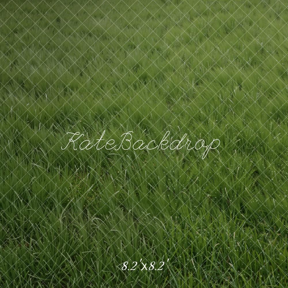 Kate Green Grass Field Floor Printed Backdrop Designed by Kate Image