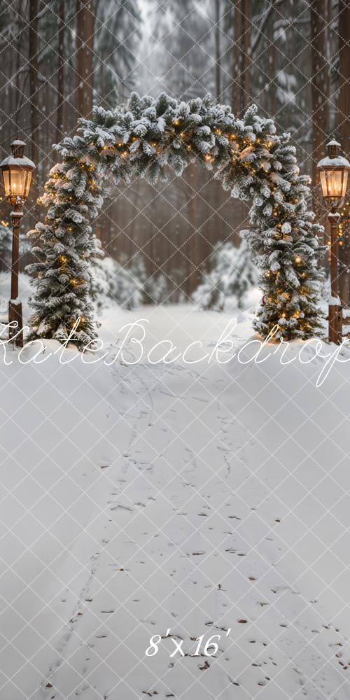 Sweep Kerstboog Winterbos Sneeuw Foto Achtergrond Designed by Emetselch