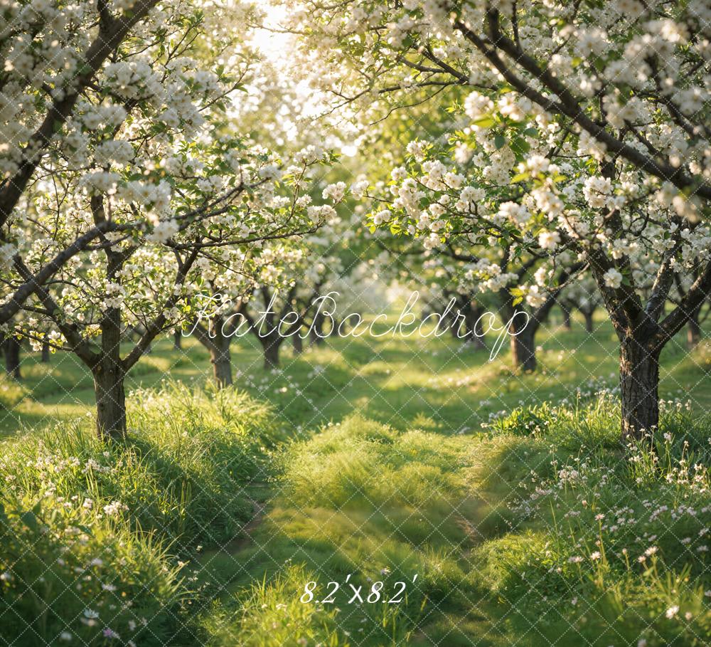 Kate Spring Blossom Orchard Pathway Backdrop Designed by Emetselch